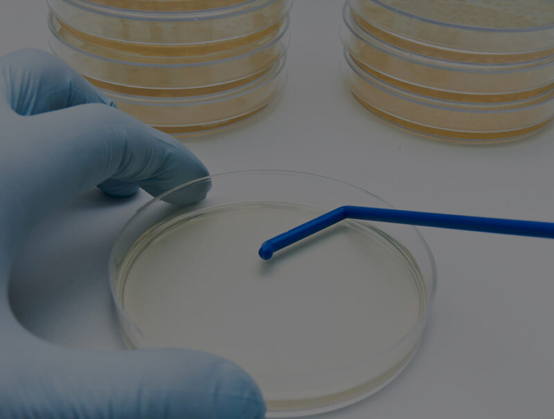 Articles Agar Powder